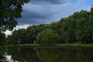 landscape with river and trees