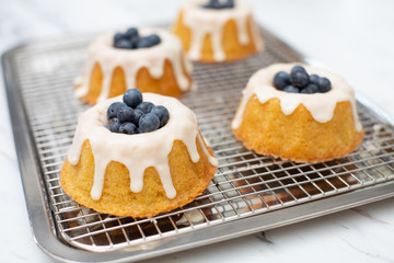 Individual freshly baked lemon cakes with fresh blueberries cooling on wire rack on white countertop.