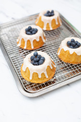 Individual freshly baked lemon cakes with fresh blueberries cooling on wire rack on white countertop.