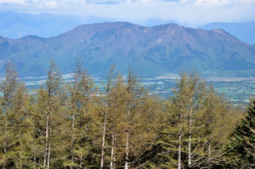 大沢展望台から毛無山と雨ヶ岳の眺め