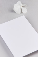 flatlay white paper sheet invitation modern minimalistic wedding light grey feminine female work business