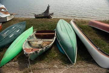 Old tattered tow boat & canoes, sitting on a grassy green shore, along a lake.