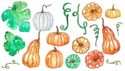 Hand painted watercolor set of pumpkin and leaves