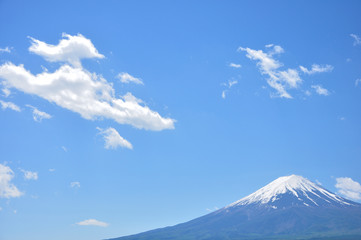 Obraz premium 春富士