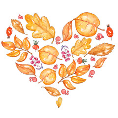 Watercolor heart yellow leaves, berries.