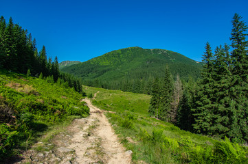 Fototapeta na wymiar Summer trail in the mountains