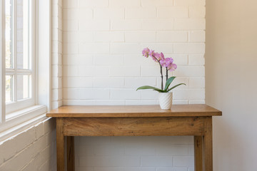 Purple phalaenopsis orchid in pot on wooden oak side table against white painted brick wall and...