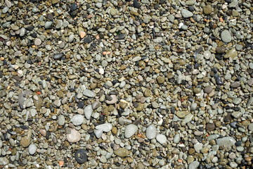 background texture of a beach with small pebbles