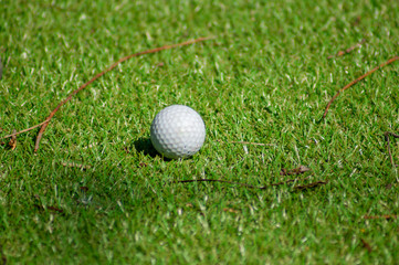 Piłka golfowa na trawie - obrazy, fototapety, plakaty