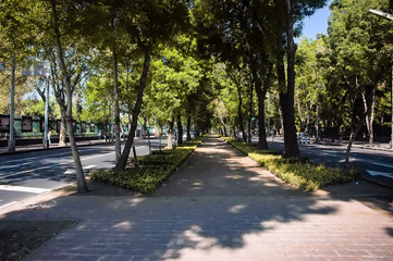 Paseo de la reforma avenue, mexico city