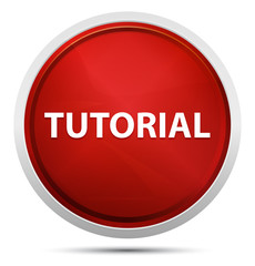 Tutorial Promo Red Round Button