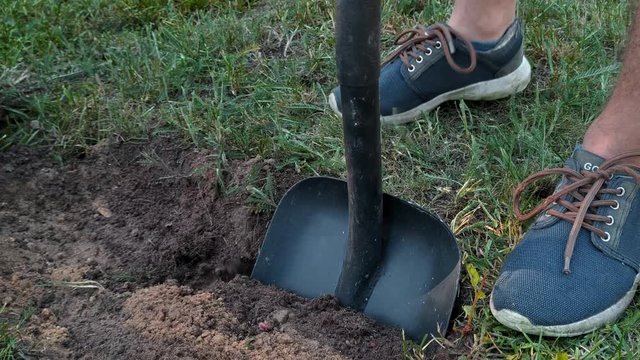 A person digging up soil in their garden using their foot to push down the shovel