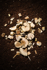 Mulberry. Herbal medicine material.