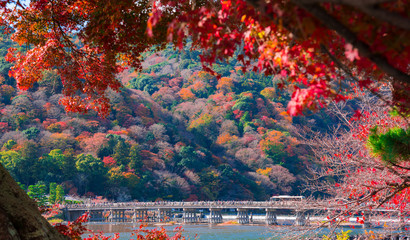 京都　嵐山の紅葉　