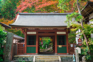 京都　愛宕念仏寺（おたぎねんぶつじ）の仁王門と紅葉