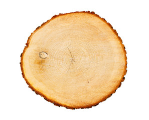 Cut wood tree slice with natural edges rings on white with empty space