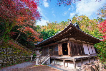 京都　愛宕念仏寺（おたぎねんぶつじ）の千二百羅漢と紅葉