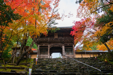 京都　神護寺の紅葉　