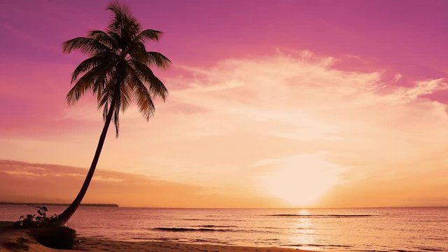 Coconut palm against the backdrop of a pink sunset. Landscape of tropical sea beach at sunset. Orange sun against a pink evening sky. Journey to a tropical paradise. Travel and vacation at sea.