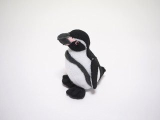 フェルト作品　フンボルトペンギン