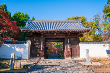 京都　二尊院の紅葉　