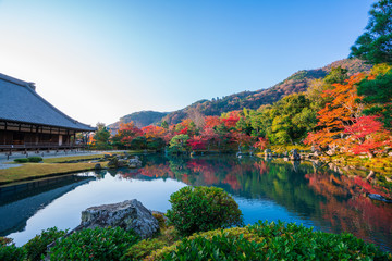 京都 源光庵の紅葉 Wall Mural Wallpaper Murals Route16 京都 源光庵の紅葉 Wall Mural Wallpaper Murals Route16