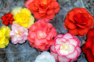 Floating flowers