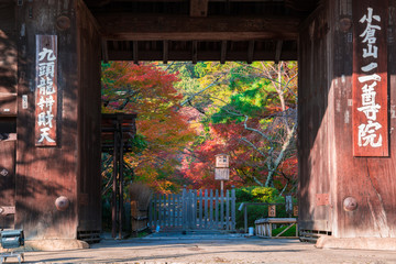 京都　二尊院の紅葉　