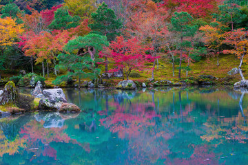 京都　天龍寺の紅葉