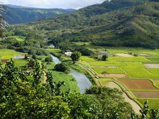 Ariel View of Fields