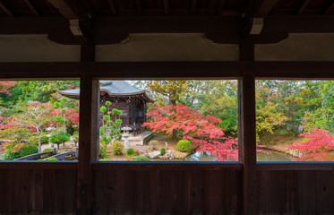 京都　清凉寺の紅葉　