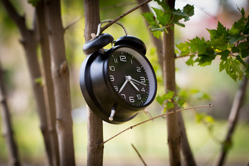 Time is money, time is wealth