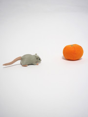 フェルト作品　ねずみとみかん