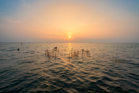 A Fisherman's Net, Jaffna, Sri Lanka