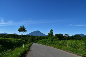 Naklejka premium Landscape with mount Yotei and forest in Hokkaido, Japan