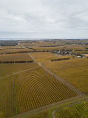 Aerial view of vineyard under the cloudy day.
