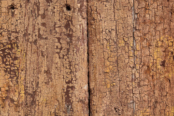Old wood texture with cracks and knots