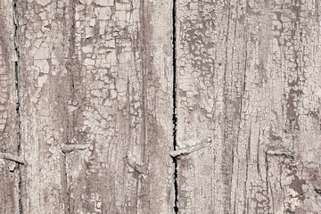 Obraz premium Old wood texture with cracks and knots