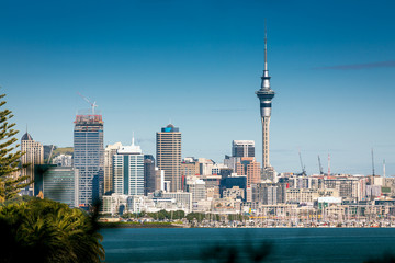 Auckland city skyline - obrazy, fototapety, plakaty