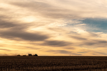 Fototapeta premium harvesting at dusk