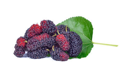 mulberries fruit and mulberry leaf on white background healthy mulberry fruit food isolated