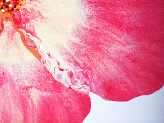 abstract flower closeup.soft romantic background.