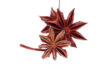 Anise isolation in the white background