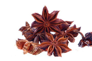 Anise isolation in the white background
