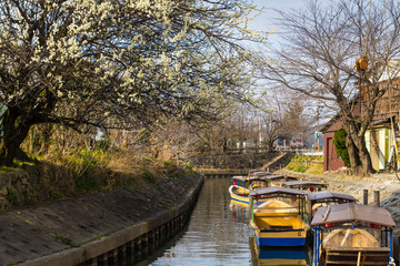 Water Village Tour　水郷めぐり