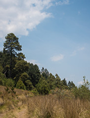 La Marquesa National Park, with the official name 