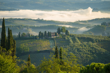 A misty September dawn in the vicinity of San Gimignano. Italy - obrazy, fototapety, plakaty