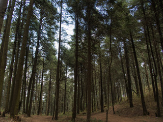 La Marquesa National Park, with the official name 