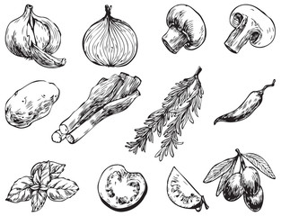 Hand drawn vector illustrations.Ingredients for cooking: olives, hot peppers, tomato, onion, garlic, champignon, ets. Perfect for menu, cards, blogs, banners. Illustration in sketch style