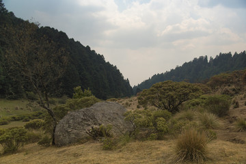La Marquesa National Park, with the official name 